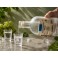 Licor de Aguardiente de Orujo de la conservera del prepirineo